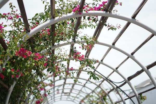 Pergola Waterproofing